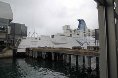 IMG_0113_bearbeitet-1