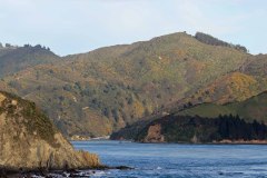 IMG_0037_bearbeitet-1