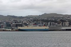 IMG_0101_bearbeitet-1