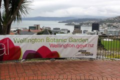 IMG_0154_bearbeitet-1